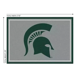 Kirklands Home Area Rugs|Michigan State University Area Rug, 3x4