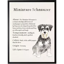 Kirklands Home Wall Quotes & Signs|Miniature Schnauzer Facts Framed Wall Plaque
