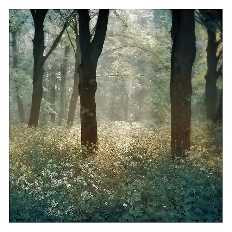 Kirklands Home Canvas Art|Morning in the Forest Giclee Canvas Art Print