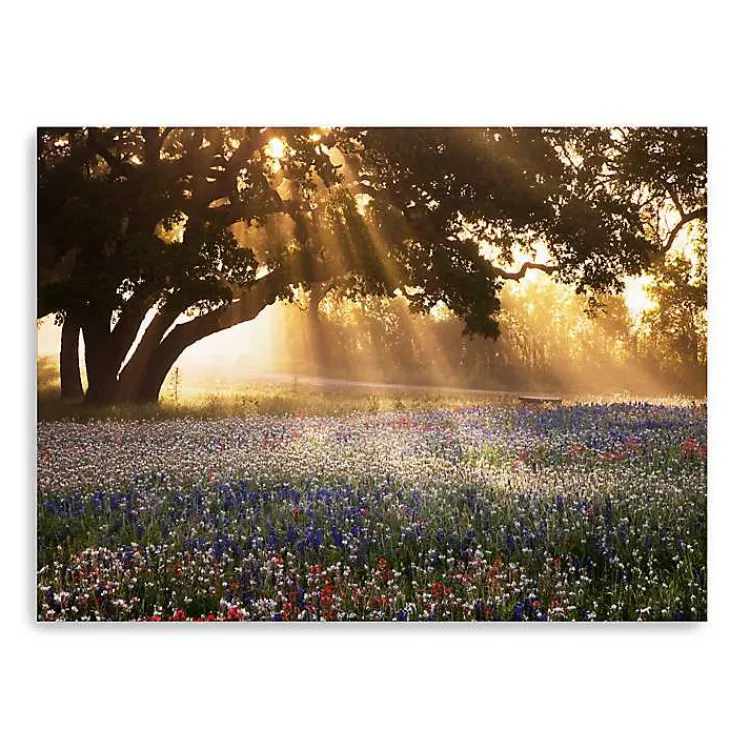 Kirklands Home Canvas Art|Morning Meadow Giclee Canvas Art Print, 40x30 in. Yellow