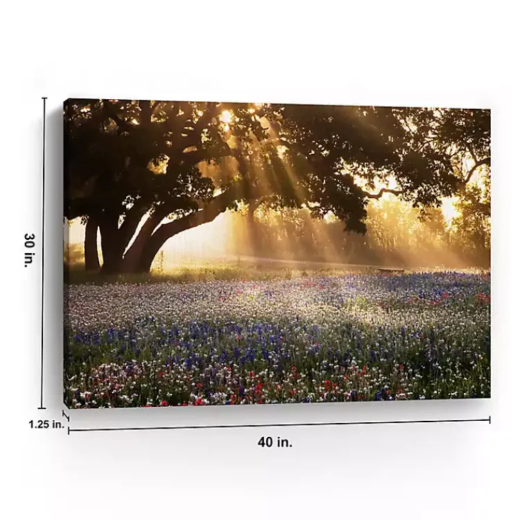 Kirklands Home Canvas Art|Morning Meadow Giclee Canvas Art Print, 40x30 in. Yellow