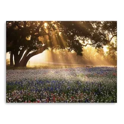 Kirklands Home Canvas Art|Morning Meadow Giclee Canvas Art Print, 48x36 in. Yellow