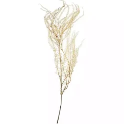 Hot Natural Bleached Andares Fern Stems, Set of 9 Stems & Bouquets