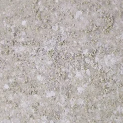 Kirklands Home Canvas Art|Natural Essence Canvas Art Prints, Set of 5 Gray