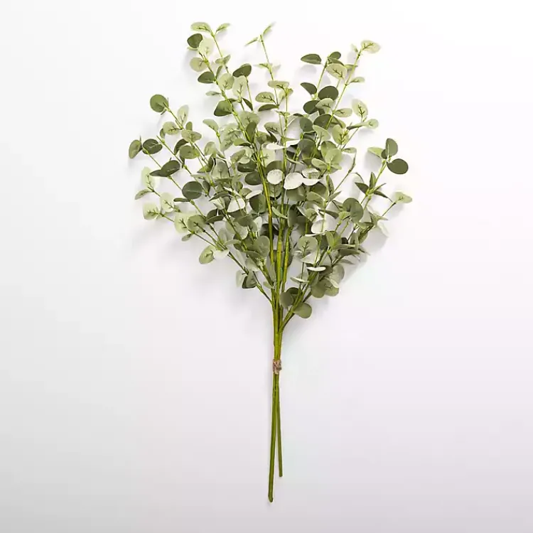 Online Natural Eucalyptus Bundle Stems & Bouquets