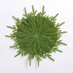 Outlet Natural Norfolk Pine Placemat Christmas Dining & Entertaining