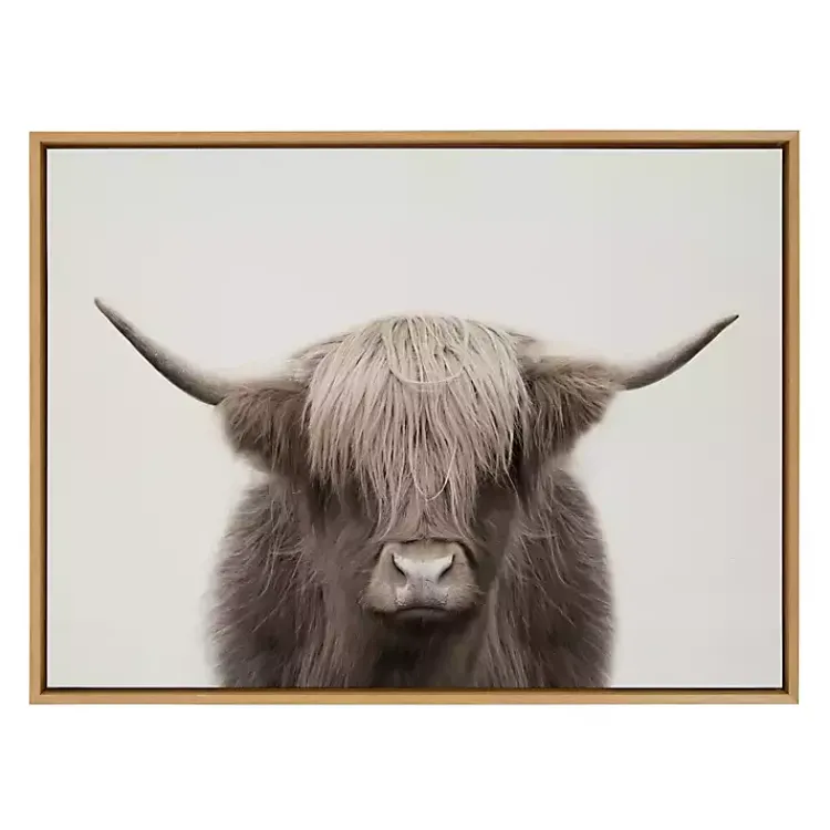 Kirklands Home Canvas Art|Neutral Highland Cow Framed Canvas Print, 28x38 Brown