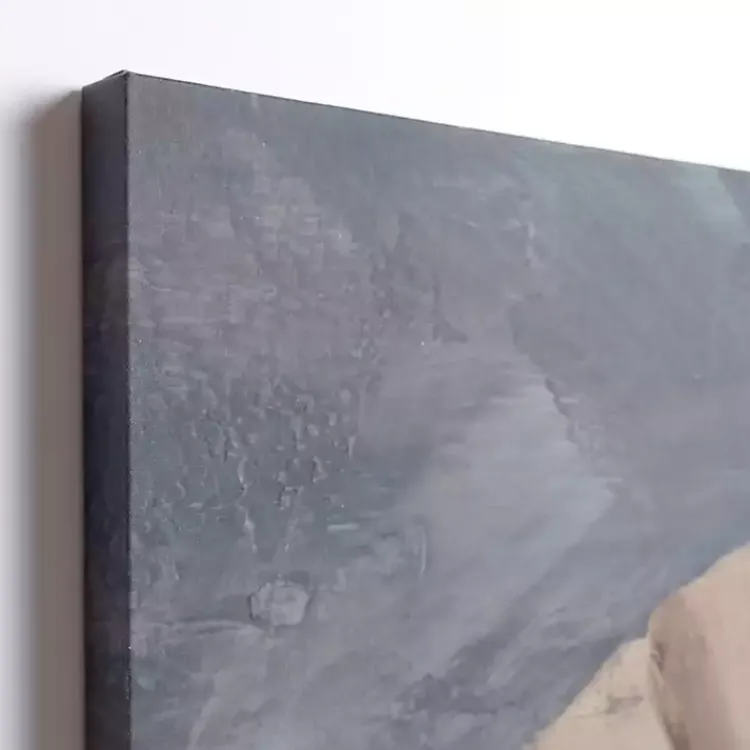 Kirklands Home Canvas Art|Neutral Seashell Canvas Art Print