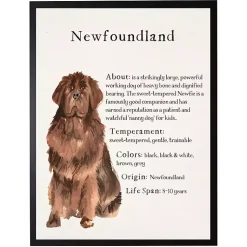 Kirklands Home Wall Quotes & Signs|Newfoundland Facts Framed Wall Plaque