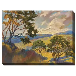 Kirklands Home Outdoor Wall Decor|No Boundaries Outdoor Canvas Art Print Multi