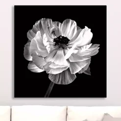 Kirklands Home Canvas Art|Noir Ranunculus Floral Giclee Canvas Art Print