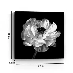Kirklands Home Canvas Art|Noir Ranunculus Floral Giclee Canvas Art Print