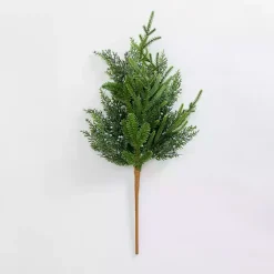 Hot Norfolk Pine and Blue Berry Stem Stems & Bouquets