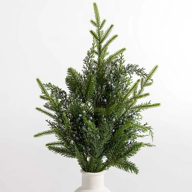 Hot Norfolk Pine and Blue Berry Stem Stems & Bouquets