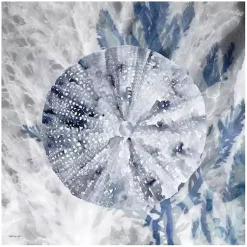 Kirklands Home Canvas Art|Ocean Collection 2 Canvas Art Print Blue