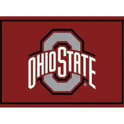 Kirklands Home Area Rugs|Ohio State University Area Rug, 4x6 Red