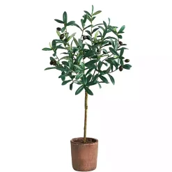 Outlet Olive Branch Tree in Weathered Planter, 3 ft. Trees & Topiaries