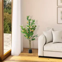 Online Orange Fruit Tree in Black Pot, 4 ft. Trees & Topiaries