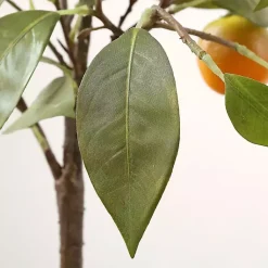 Best Orange Tree in White Pot Trees & Topiaries