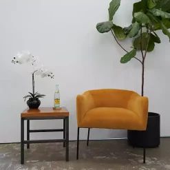 Online Orchid Arrangement in Floral Planter Arrangements & Greenery