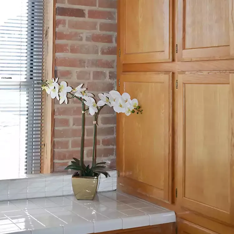 Best Orchid Arrangement in Gold Pot Arrangements & Greenery