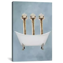 Kirklands Home Canvas Art|Ostriches in Bathtub Canvas Art Print Multi