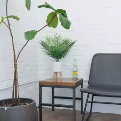 Palm Arrangement in White Footed Pot Arrangements & Greenery
