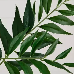 Online Palmate Fern Stems, Set of 3 Stems & Bouquets