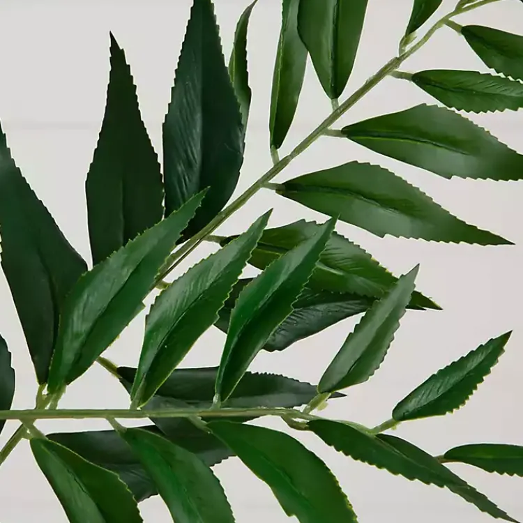 Online Palmate Fern Stems, Set of 3 Stems & Bouquets