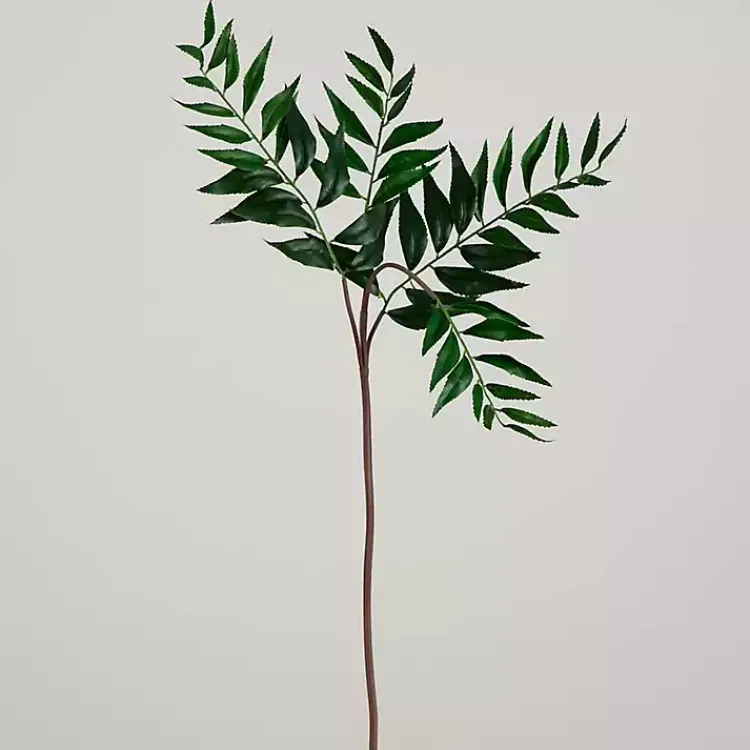 Online Palmate Fern Stems, Set of 3 Stems & Bouquets