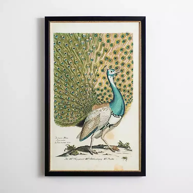 Kirklands Home Framed Art|Peacock Framed Wall Art