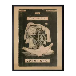 New Pepper's Ghost Framed Halloween Wall Plaque Halloween