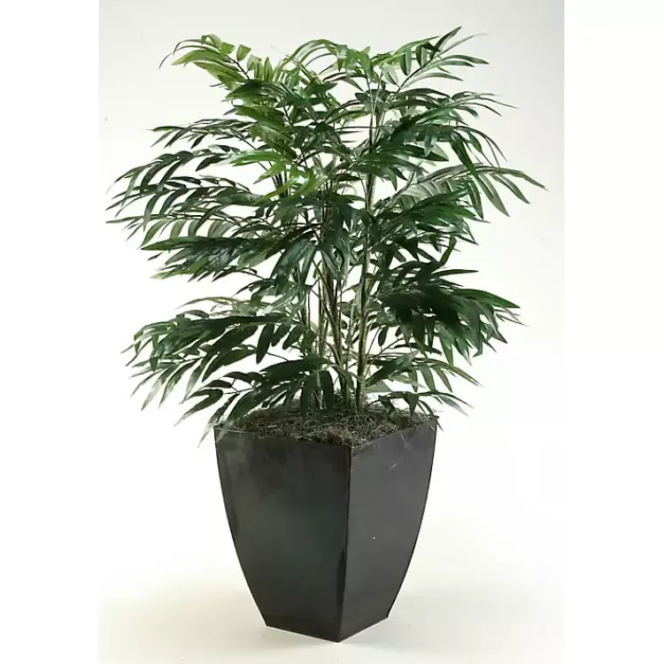 Clearance Phoenix Palm Tree in Black Planter Trees & Topiaries