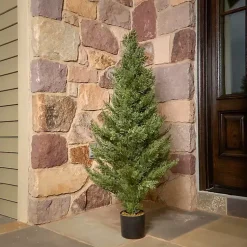 Outlet Potted Arborvitae Christmas Tree Christmas Arrangements & Garland