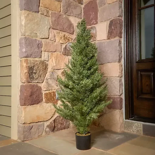 Outlet Potted Arborvitae Christmas Tree Christmas Arrangements & Garland