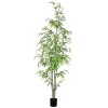 Best Potted Bamboo Tree, 5 ft. Trees & Topiaries