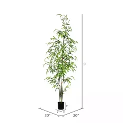 Best Potted Bamboo Tree, 5 ft. Trees & Topiaries