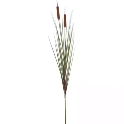 Online Potted Brown Cats Tails Grass, 48 in. Trees & Topiaries
