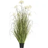 Sale Potted Flowering Grass, 36 in. Trees & Topiaries
