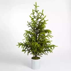 Online Potted Norway Spruce Christmas Tree, 60 in. Christmas Trees