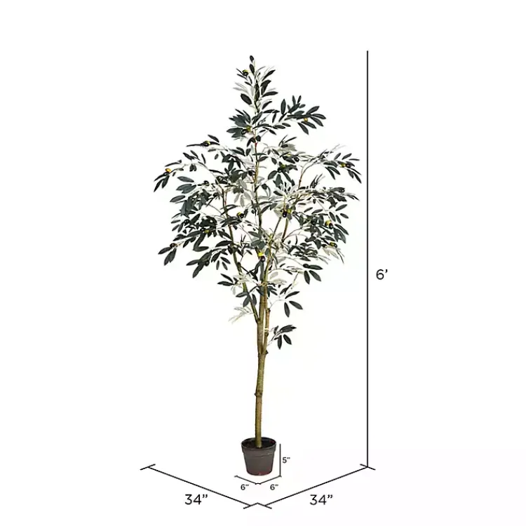 Sale Potted Olive Branch Tree, 6 ft. Trees & Topiaries