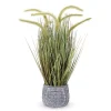 Best Prairie Grass in Pot Trees & Topiaries