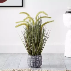 Best Prairie Grass in Pot Trees & Topiaries