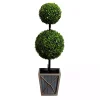 Hot Pre-Lit Double Boxwood Topiary in Planter, 3 ft. Trees & Topiaries