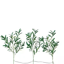 Hot Pre-Lit Olive Branch 3-pc. Bouquet Stems & Bouquets