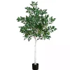 Hot Pre-Lit Warm LED Birch Tree, 5 ft. Trees & Topiaries