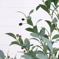 Online Pre-Lit Warm LED Olive Tree, 4 ft. Trees & Topiaries