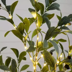 Online Pre-Lit Warm LED Olive Tree, 4 ft. Trees & Topiaries