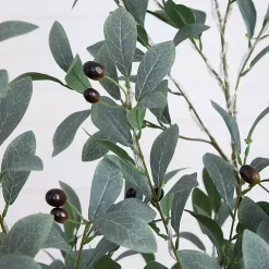 Sale Pre-Lit Warm LED Olive Tree, 5 ft. Trees & Topiaries