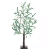 Sale Pre-Lit Warm LED Olive Tree, 2 ft. Trees & Topiaries